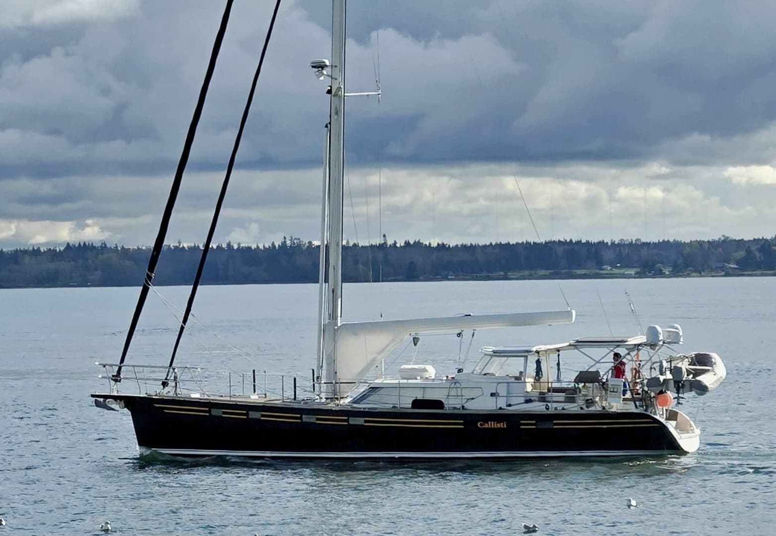 2006 Waterline 50